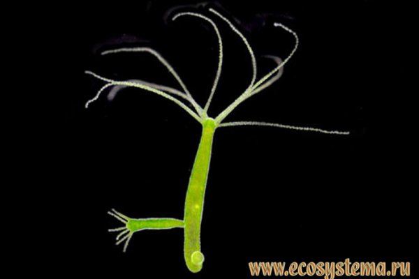 Krab7 cc управление жилищным фондом