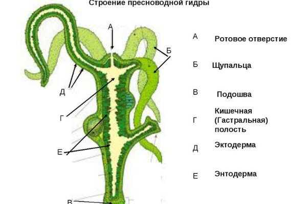 Магазины кракен квитанции