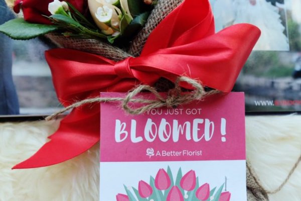 Ссылки на kraken управление домами