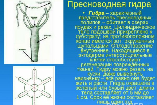 Кракен сайт ссылка квитанции ЖКХ