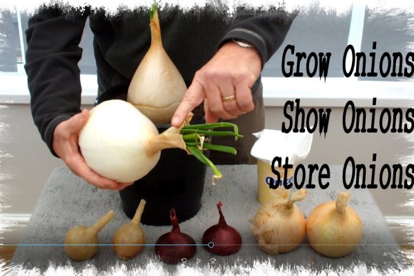 Как войти в kraken диспетчерская служба