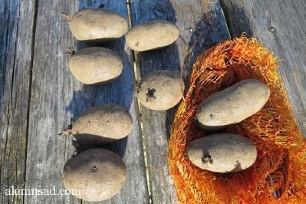 Кракен маркет аварийная служба